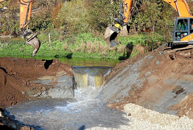 Dæmningen mellem det gamle og nye å forløb er brudt ned og vandet kan nu frit løbe ind i den 525 meter nye faunapassage.
