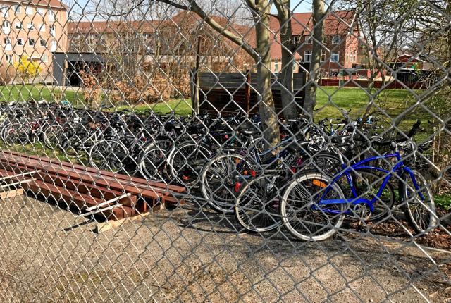 De mange cykler er ikke fast inventar på en cykelkirkegård - men derimod venter de på at blive istandsat. Foto: Torben O. Andersen