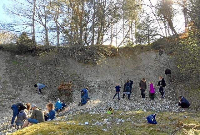 Engagementet var i top - ikke mindst hos børnene - under fossiljagten i Skillingbro Kalkgrav. Privatfoto