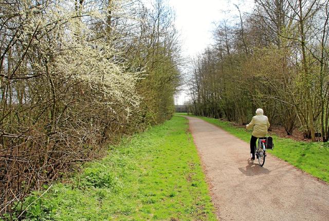 Det er forår - og tid til at finde cyklen frem! Foto: Colourbox