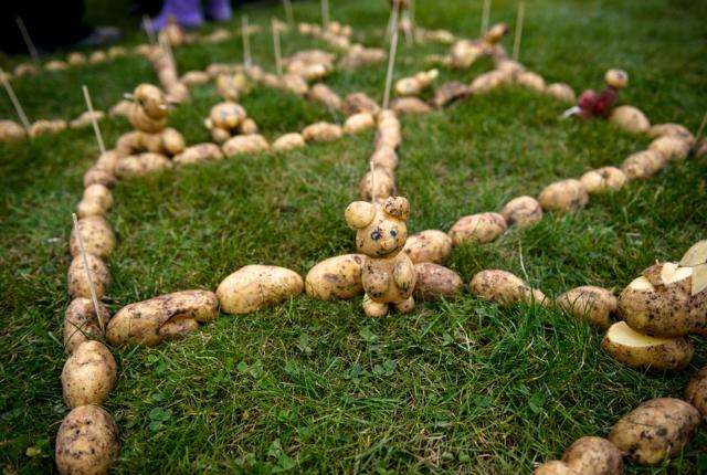 I efterårsferien er der kartoffelfestival på Gård 18. Arkivfoto: Foto: Nicolas Cho Meier