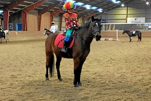 Brovst Rideklub har ansat ny staldmester fra 1. februar - og der vil også fremover blive rideskoleundervisning i klubben.Arkivfoto