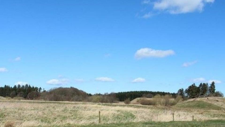 Fredet område i Frederikshavn Kommune med masser af skønne sjældenheder. <i>Foto: Flemming Thorning-Lund</i>