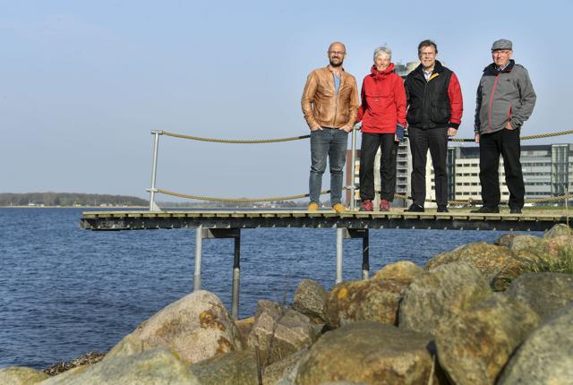 Rasmus Holmgård, Anne-Lise Mortensen, Jan Ole Mortensen og Keld Poulsen er gået ind i kampen for at sikre, at der igen er en badebro på Solsiden. Foto: Michael Koch <i>Michael Koch</i>