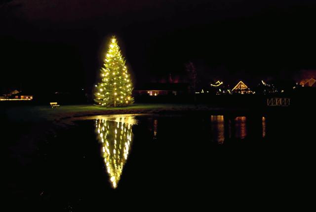 Det store juletræ på det grønne område ved Oremosevej står flot og spejler sig i søen og byder besøgende velkommen til Sindal. Foto: Niels Helver