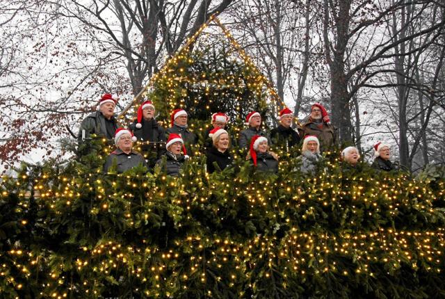 Det syngende juletræ er en nyskabelse på Dronninglund Kunstcenter. Hver søndag eftermiddag vil der være kor, der kravler op i træet og giver det liv. Foto: Jørgen Ingvardsen