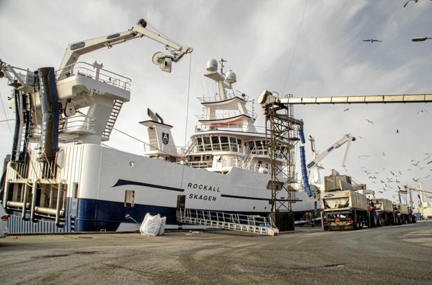 Halvårsstatistikken for fiskeriet i de danske havne viser, at Skagen havn har øget sin markedsandel på mængden af landede fisk til 43 procent.