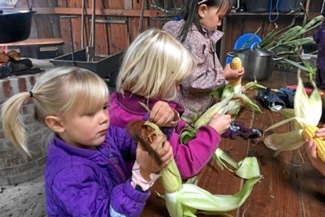 Børnene i fuld gang med at tilberede majskolber af egen avl. Foto: Privat.