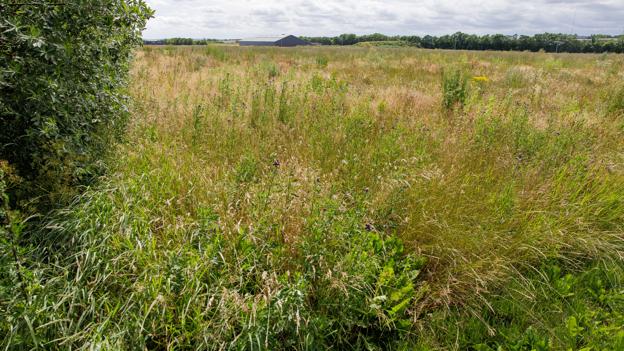 Salget af den 75.000 kvadratmeter store grund på Glentevej har tyndet ud i kommunens beholdning af ledig erhvervsjord omkring Thisted, men der er stadig jord at sælge ud af. <i>Foto: Bo Lehm</i>