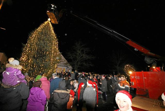 I år droppes det store juletræ på torvet, og i stedet spredes julen ud i byen med omkring 25 mindre juletræer. Foto: Jørgen Ingvardsen