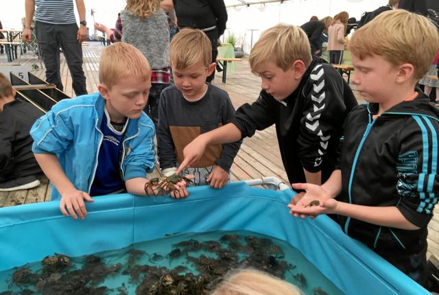 Skaldyrscirkus startede i fjor som en del af østers- og muslingepremieren - og det fortsætter i år med et udvidet program. Foto: Morsø Kommune
