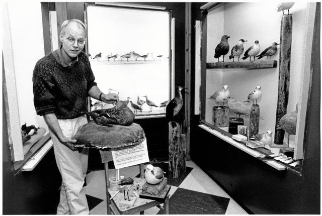 Cand.scient og museumsdirektør Poul Lindhard i sit rette element blandt udstoppede fugle Foto: LOKALHISTORISK ARKIV SKAGEN