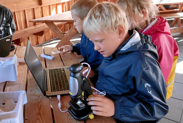 Som en del af »bioblitz« bliver de indsamlede insekter undersøgt i mikroskop, der er tilkoblet en bærbar computer, så flere af børnene kan kigge med samtidig. Udstyret er helt nyt, takket være en donation fra Nordeafonden, fortæller lærer Karin Bach Andersen.