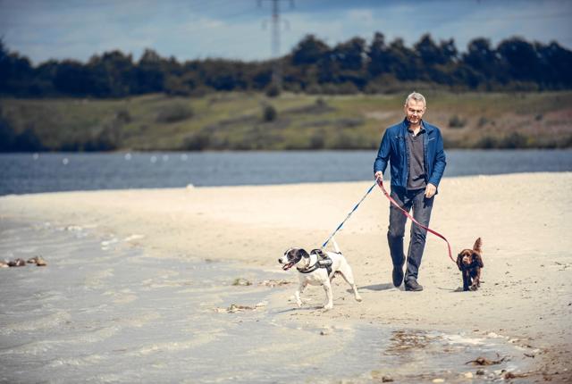 Nu skal hunden være i snor på en række danske strande. Foto: Dyrenes Beskyttelse.