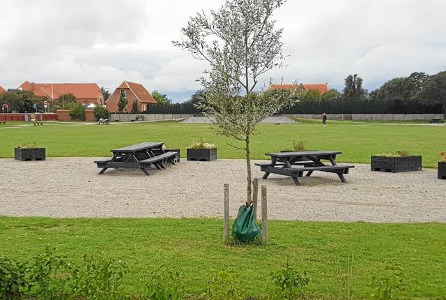 Skolemarken som den ser ud i dag. Foto: Ole Svendsen