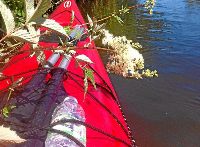 En kanotur er en ideel måde at stresse af på. Foto: Privat