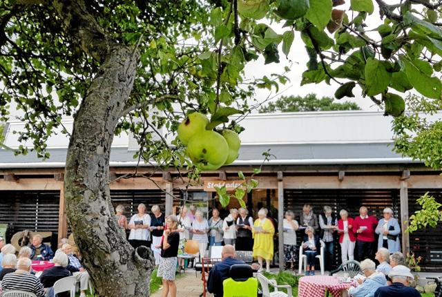 I æblehaven ved museet Simons Raaling, var koret Optimisterne fra Skagen og Aalbæk med til at lukke for sæsonen. Foto: Ole Svendsen