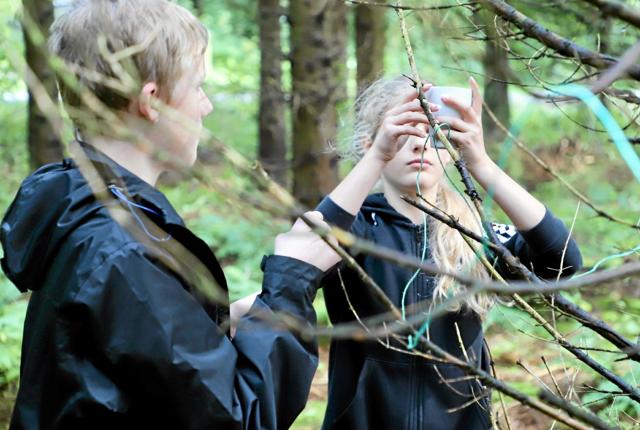 Skovskolen bød på diverse samarbejdsøvelser. Privatfoto Foto: Allan Mortensen