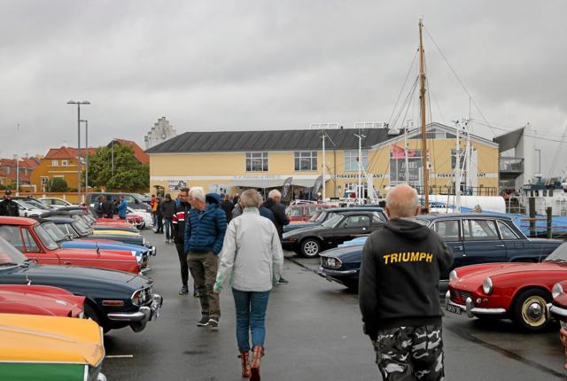 Godt et halvt hundrede velplejede Triumph veteranbiler lod sig beundre på Sæby Havn. Foto: Tommy Thomsen