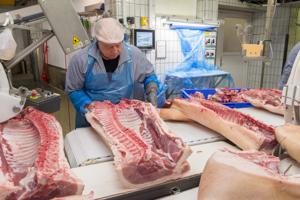 Nordjysk slagteri bremser op: 50 medarbejdere sendes på fordeling