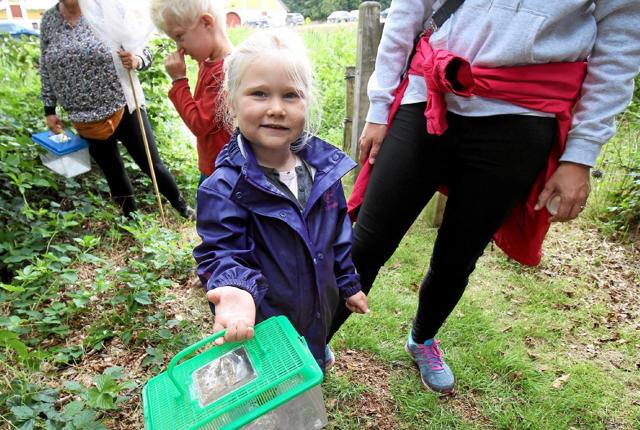 Lea var en af de første, der fangede noget. Her fremviser hun stolt en frø godt gemt i plastikbeholderen.  Foto: Jørgen Ingvardsen