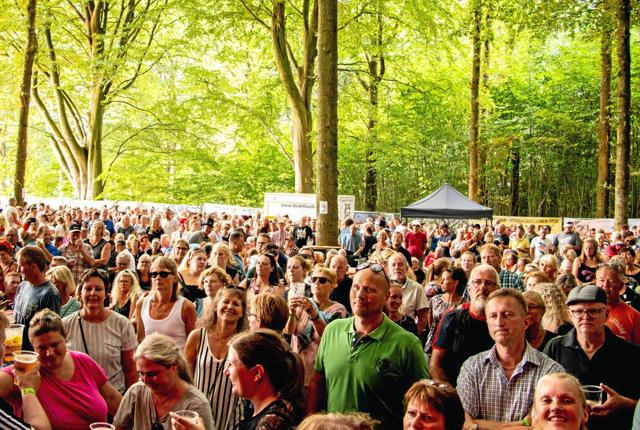 »Jammerbugtens fedeste havefest« foregår under de lysegrønne bøgetræer på Dyrskuepladsen i Fjerritslev lørdag 3. august. Sidste år løste omkring 3.600 billet til musikfestivalen. Foto: VesterhavsRock