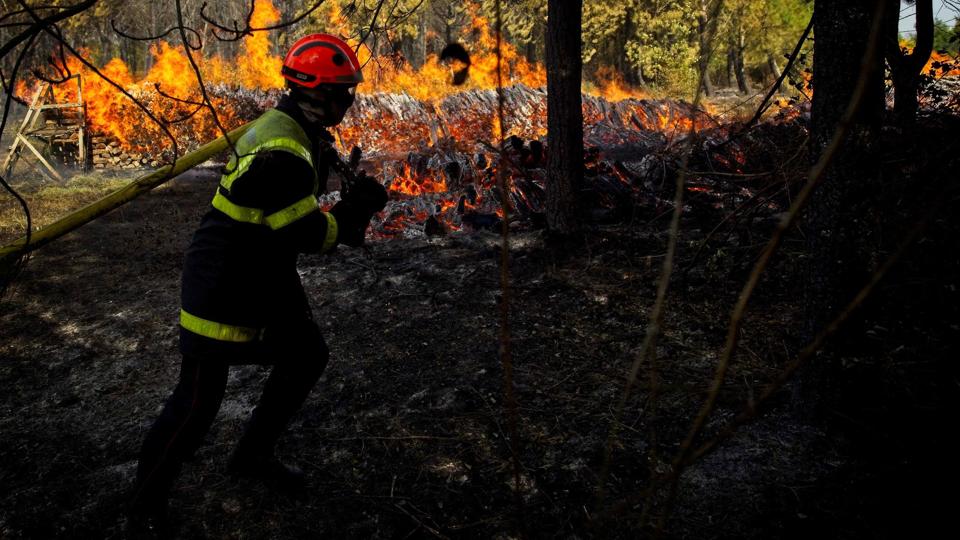 I Sydfrankrig kæmper brandmænd for at slukke skovbrande efter en lang periode med tørke i regionen. (Arkivfoto) <i>Guillaume Souvant/Ritzau Scanpix</i>