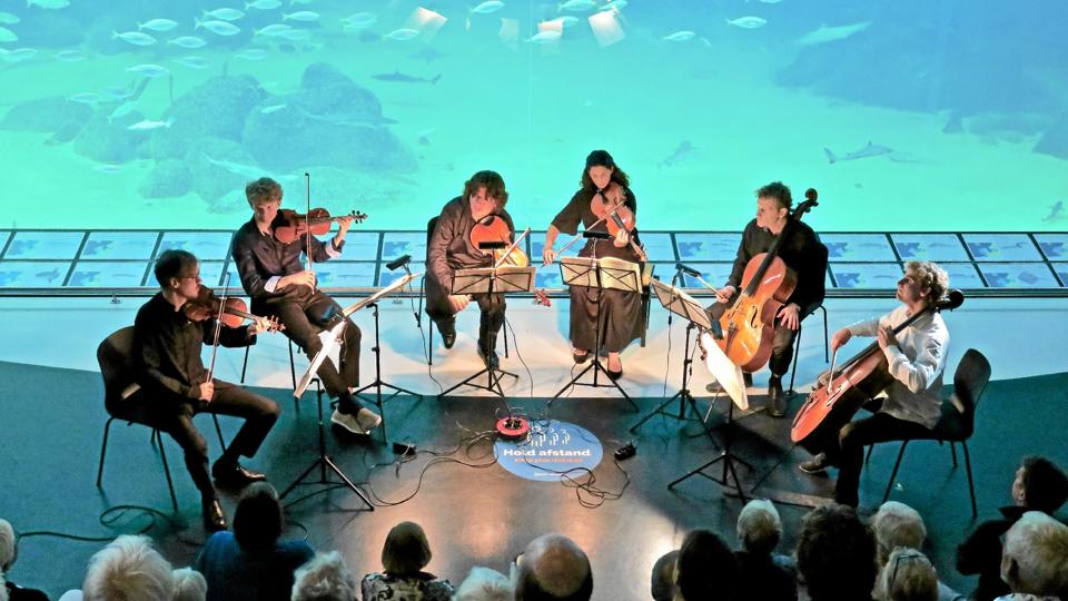 Henning Kraggerud, Adam Koch, Alexander Gordon, Emilia Wareborn Brantelid, Ingemar og Andreas Brantelid foran det store bassin i oceanariet. <i>Foto: Jan Ole Mortensen</i>
