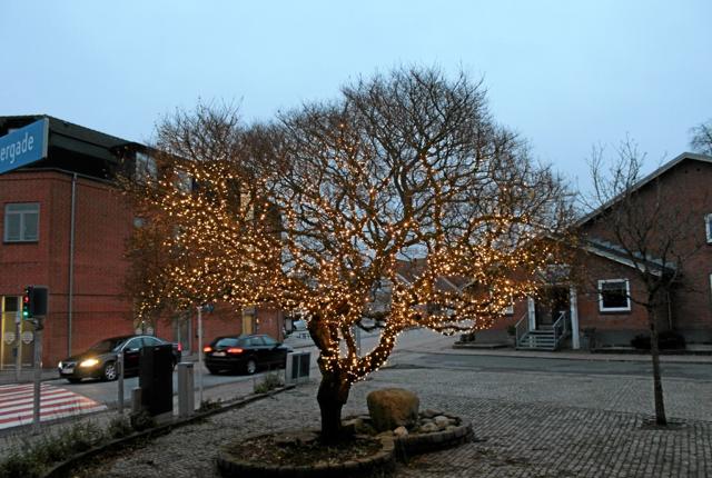 Det store træ på Vestergade i Brovst ved siden af Jammerbugt Ungdomsskole er indhyllet i lys. Foto: Ida Mehl Agerholm