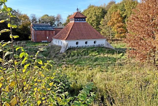 Brønderslevs gamle vandtårn klædt i efterårsfarver. Foto: Anny Gedebjerg
