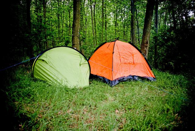 Nu er der fri ret til teltning i masser af skovområder i Jammerbugt, Hjørring og Frederikshavn Kommuner