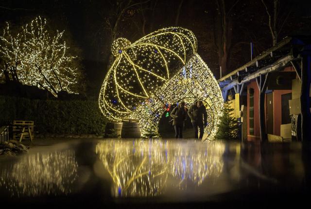 Jul i Zoo inviterer indenfor i et univers med fokus på kærlighed. Arkivfoto: Martin Damgård