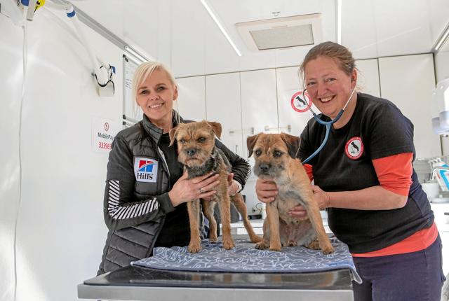 Dyreværnets Nina Amdi og dyrlæge Christine Fossing kommer til Hirtshals for at hjælpe socialt udsatte borgeres dyr. Foto: Hans Jørgen Riis/Dyreværnet