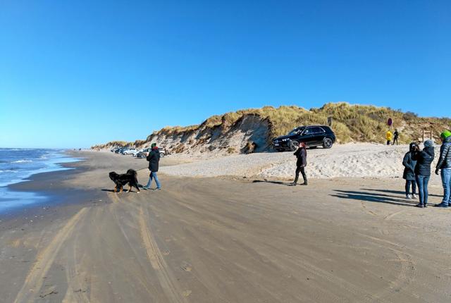 Selvom det kan være fristende at lade hunden løbe frit på stranden, er det ikke tilladt i perioden fra den 1. april til 30. september. I denne perioden skal hunden være i snor. Foto: Niels Helver