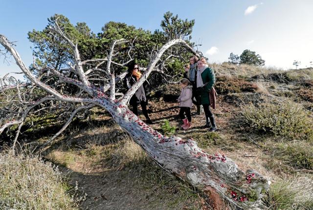 Maiken Vejby fortæller de besøgende om Mariehønetræet. Foto: Peter Jørgensen