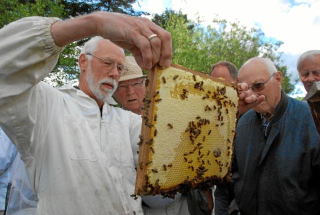 Sammen med ligesindede får interesserede mulighed for at lære alt om bierne og hvordan man passer dem. Foto: Bilauget ved VHM