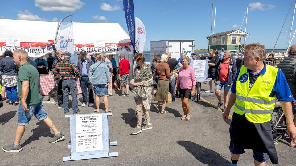 Muslingefestival i Løgstør