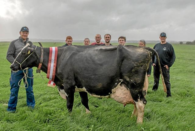 Den ”dygtige” ko med 100.000 kg. leveret mælk, her flankeret af ejer Morten Kristensen (forrest) samt de ansatte. Foto: Mogens Lynge