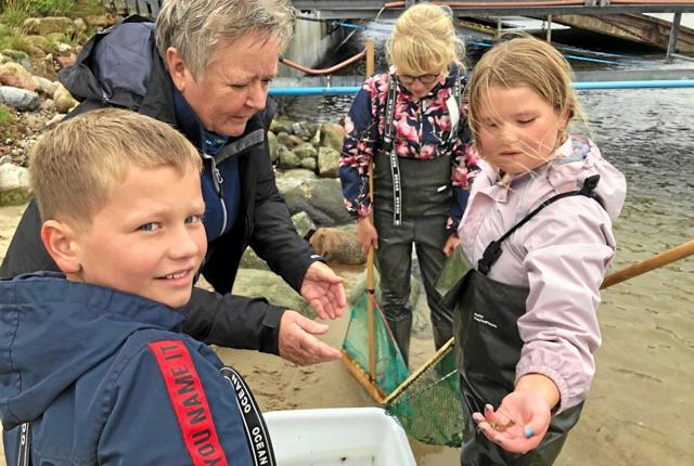 Både børn og voksne blev i forbindelse med Naturens Dag i Vesthimmerland klogere på livet i Limfjorden. Privatfoto