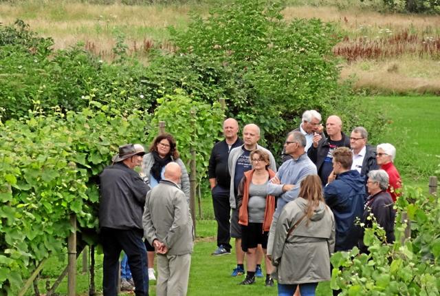 OddeKystVineri på Als Odde er lørdag 19. september blandt de vingårde, der holder åbent hus i forbindelse med den landsdækkende Dansk Vindag.  Privatfoto