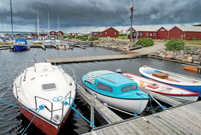 Der er Naturens Dag på Gjøl Havn 13. september.
Arkivfoto: Henrik Bo