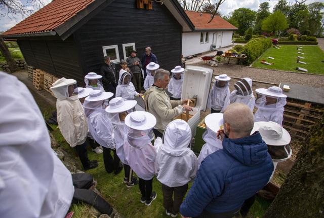 Børnene så også nærmere på bier til projektdagen på Gjøl Kirkegård. Foto: Martél Andersen