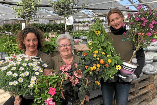 På Sæby Planteskole står Anne, Mette og Pia klar til at hjælpe med at finde den helt rigtige blomst til mor. Foto: Lisa Farum Kristiansen