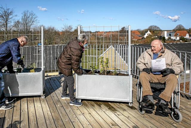 Beboer Niels Larsen tester de nye kørestole og giver gode råd med plantearbejdet til de frivillige Birthe Christensen og Søren Daugaard. Foto: Privat