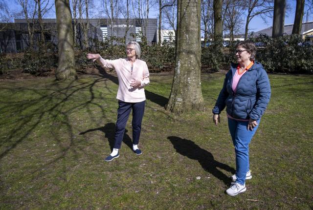 Kasserer Else Simonsen og formand Anette Aggerholm, Brønderslev Tennisklub, viser hvor de to nye padelbaner skal ligge. Foto: Martel Andersen