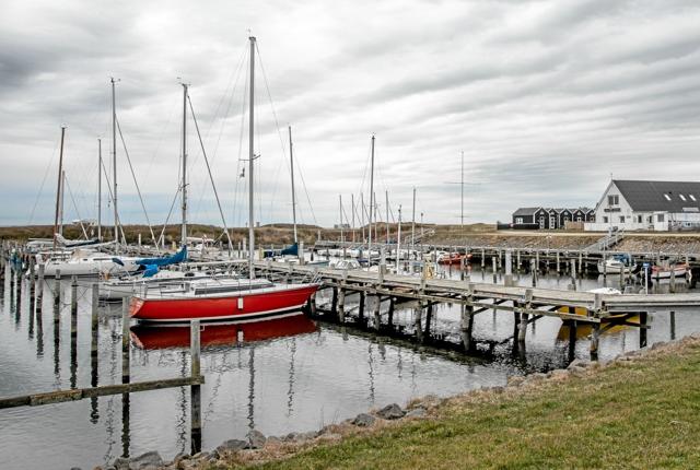 Rønbjerg er blevet en populær havn, og med de mange nye sejlere, som er kommet til, er der udsigt til rift om bådpladserne. Foto: Mogens Lynge