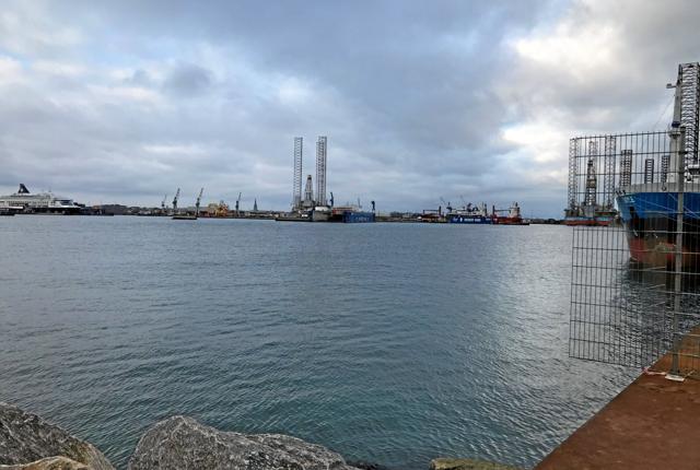 Godsmængderne er steget med 30 procent, mens de øvrige indsatsområder for Frederikshavn Havn har haft en meget dæmpet vækst. Foto: Calle
