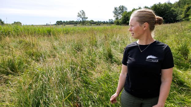 - Selv om alt ser meget uberørt og naturligt ud, er uberørt ikke det samme som "naturlig natur". Her er plads til forbedring, siger Anna Gudrun Worm. <i>Foto: Bo Lehm</i>