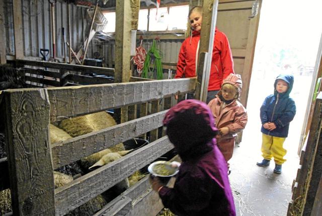 Dyrene spiller en vigtig rolle. Her er det fårene, der fodres. Det er naturligvis børnene, der står for det. Foto: Jørgen Ingvardsen