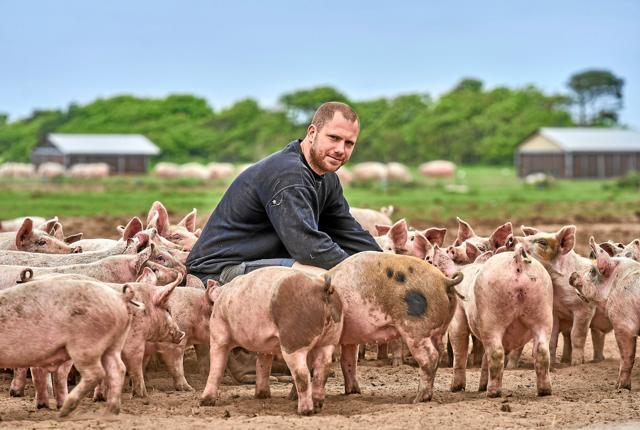 Niels Terkelsen, Løkken inviterer søndag den 5. september til åbent gård eventet Sofari. Her vil han vise sin økologiske griseproduktion frem til gæsterne.